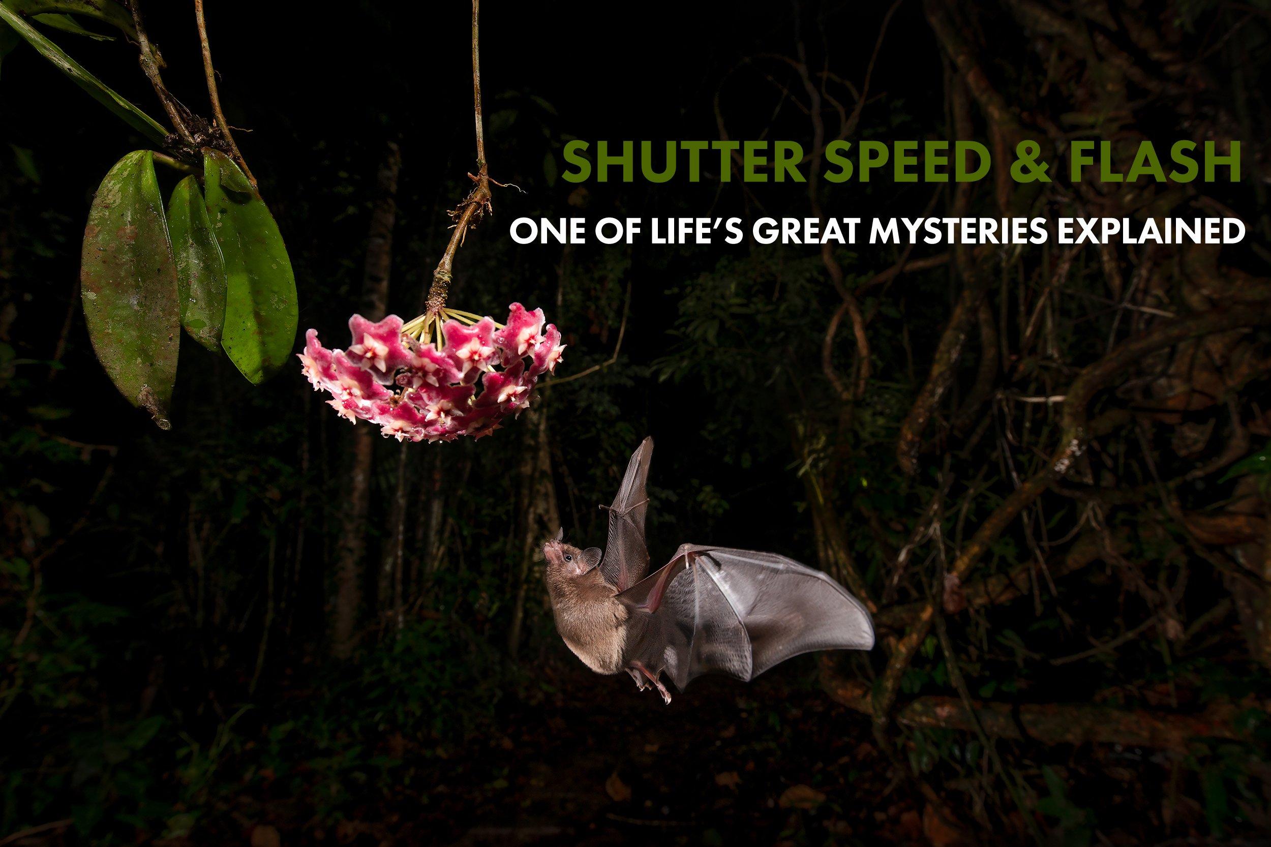 Shutter Speed and Flash – One of Life's Great Mysteries Explained ...
