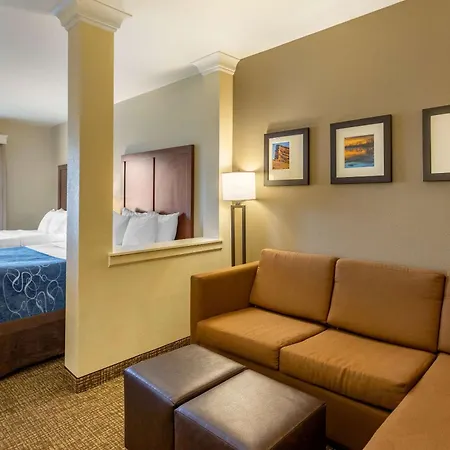 Comfort Suites Near Denver Downtown-2